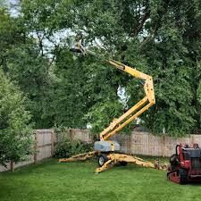 Best Aeration Services  in Port Carbon, PA